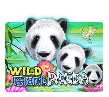 รีวิวเกมสล็อต Wild Giant Panda